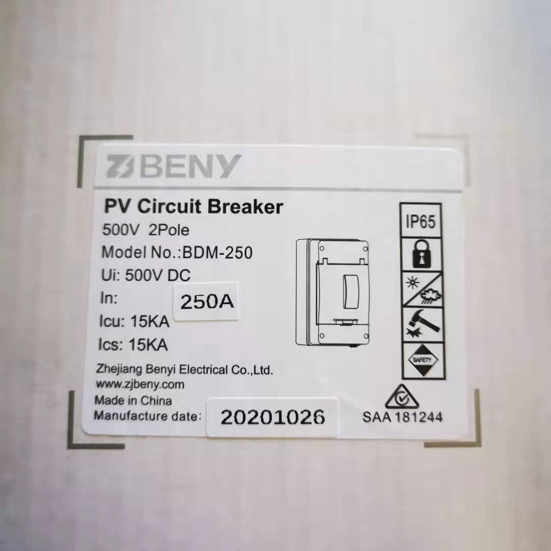 ZJ Beny DC Circuit Breaker 500V 2P ZJBeny Enclosure BDM-125 125A