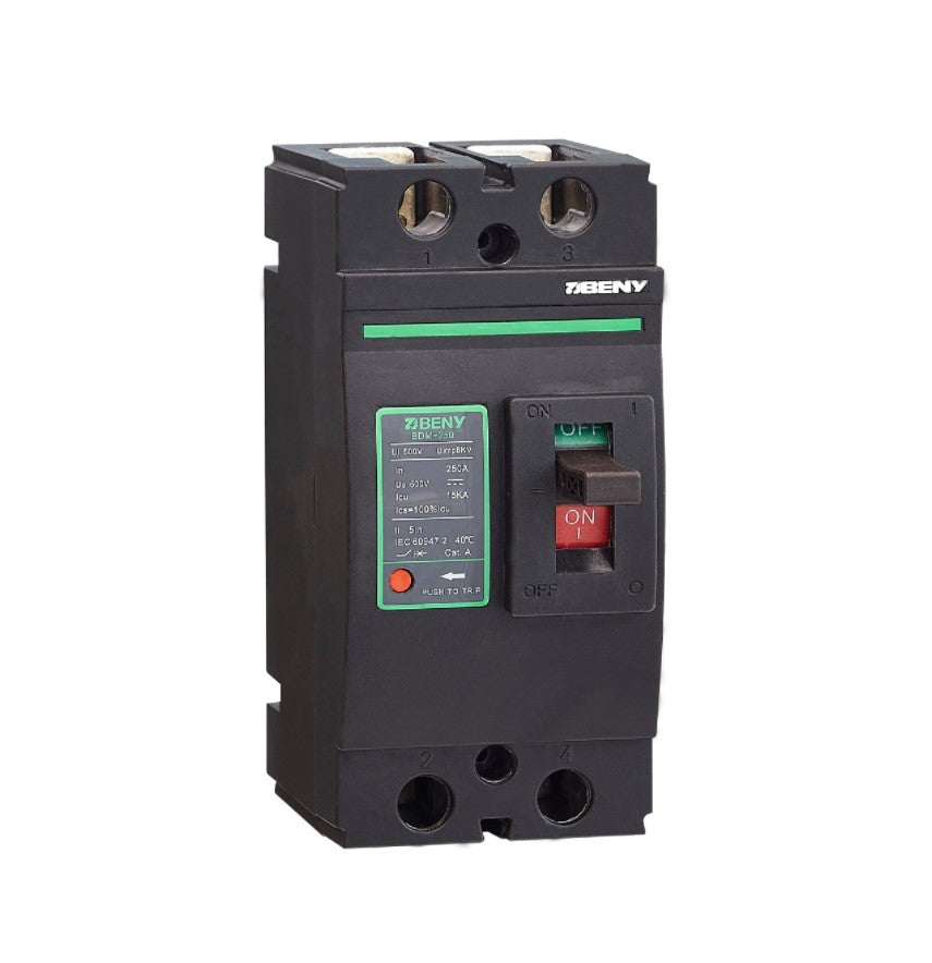 ZJ Beny DC Circuit Breaker 500V 2P ZJBeny Enclosure BDM-250 160A